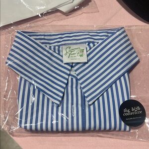 Blue & White Striped Faux Collar